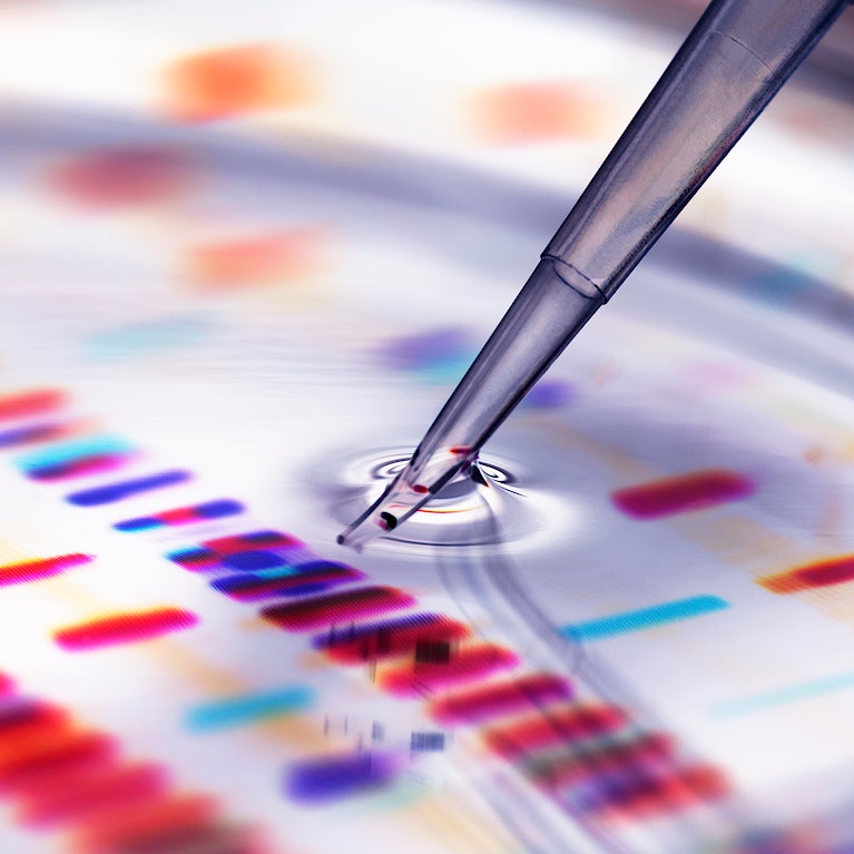 Pipette adding sample to petri dish
