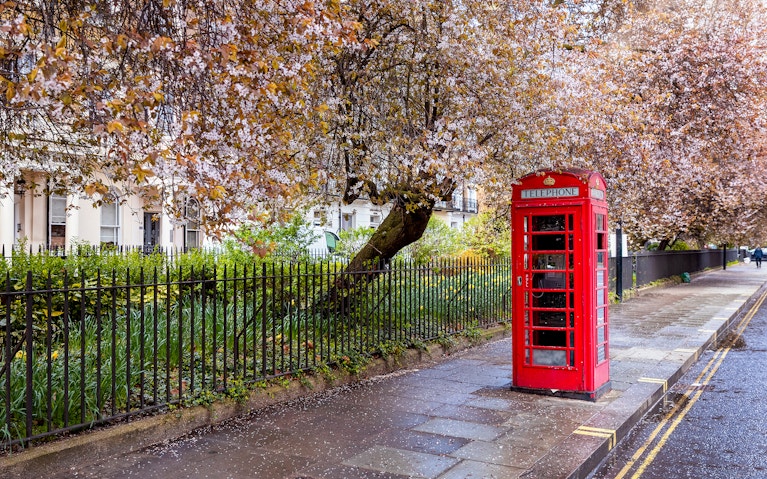 A red telephone booth on a street in London under blossoming trees